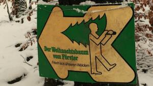 Lauschhütte bingen - weihnachtsbäume selber schlagen Lauschhütte bingen - weihnachtsbäume selber schlagen