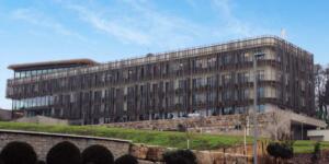 Wald. Weit rheingau hotel & retreat - ein ort zum entspannen und erleben