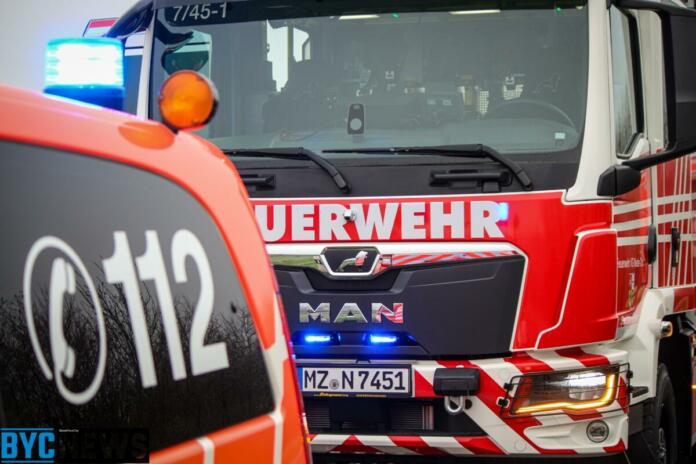 WhatsApp Image 2024-12-01 at 23.34.14 (1)