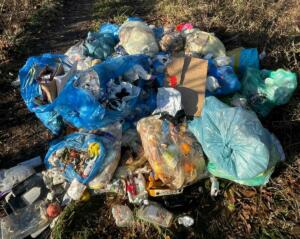 Was sind etfs und wie funktionieren sie?