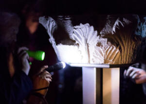 Museum bei der kaiserpfalz in ingelheim