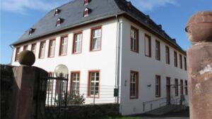 Stadt mainz präsentiert maßnahmen zur anpassung des klimawandels