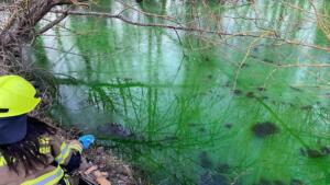 Entwarnung nach untersuchungen der mühlbach in wörrstadt 1