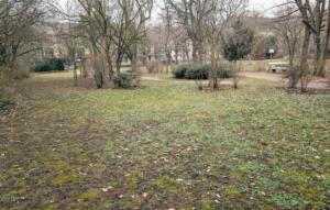 Rosenmontag in dienheim: diese kultparty darfst du nicht verpassen 1