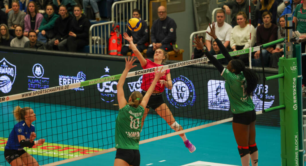 USC Münster - VC Wiesbaden | 1. Volleyball-Bundesliga | 24.01.2024 | Foto: Detlef Gottwald | www.detlef-gottwald.de