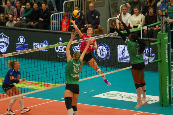 USC Münster - VC Wiesbaden | 1. Volleyball-Bundesliga | 24.01.2024 | Foto: Detlef Gottwald | www.detlef-gottwald.de