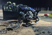 Ingelheim: Vier Schwerverletzte bei Unfall mit RNN-Linienbus