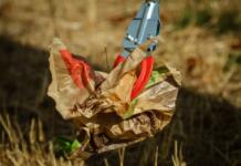 Müllsammelaktion in Eltville mit anschließendem Abendessen Müll sammeln