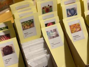 Schott mainz setzt neuen trend in der küche Schott mainz setzt neuen trend in der küche 2