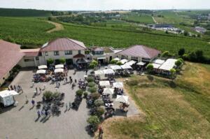 Schwerer unfall auf b9: vollsperrung zwischen bodenheim und nierstein Schwerer unfall auf b9: vollsperrung zwischen bodenheim und nierstein