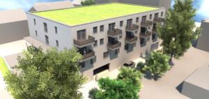 Landratswahl mainz-bingen: grüne appellieren an die wähler