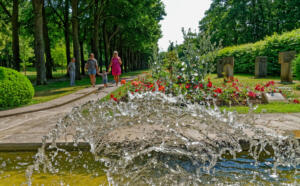 Freizeittipp: der kurort bad mergentheim mit heilquellen und wildpark