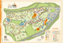 Plan Opel-Zoo Kronberg im Taunus