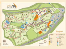 Plan Opel Zoo Kronberg im Taunus