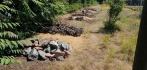 Die größten online-gewinne: so sieht erfolg in der neuen kultur von gamern, streamern und glücksspielern aus