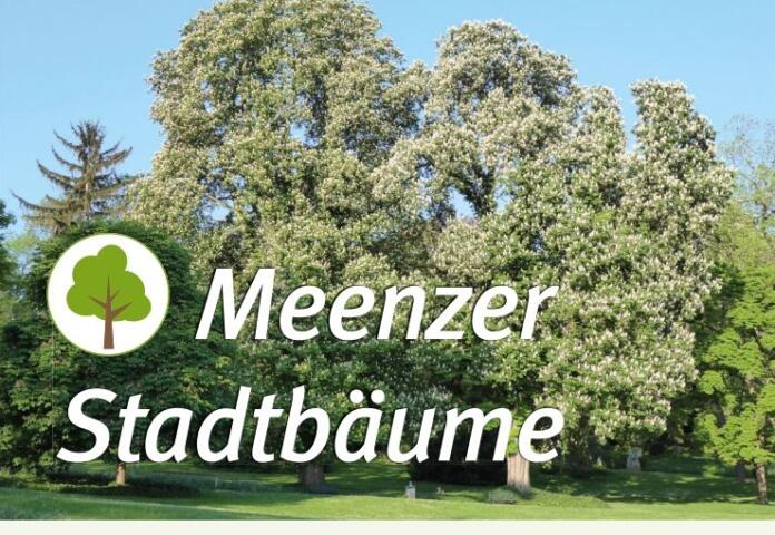 Führung Mainzer Stadtbäume