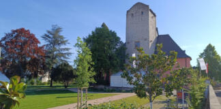 Burg Windeck Heidesheim