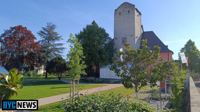 Burg Windeck Heidesheim