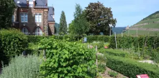 Hildegarten in Bingen am Rhein