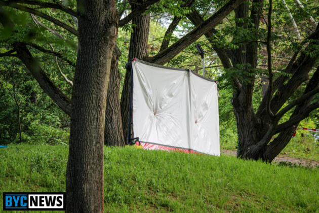 Tötungsdelikt in Mainz | Foto: BYC-News