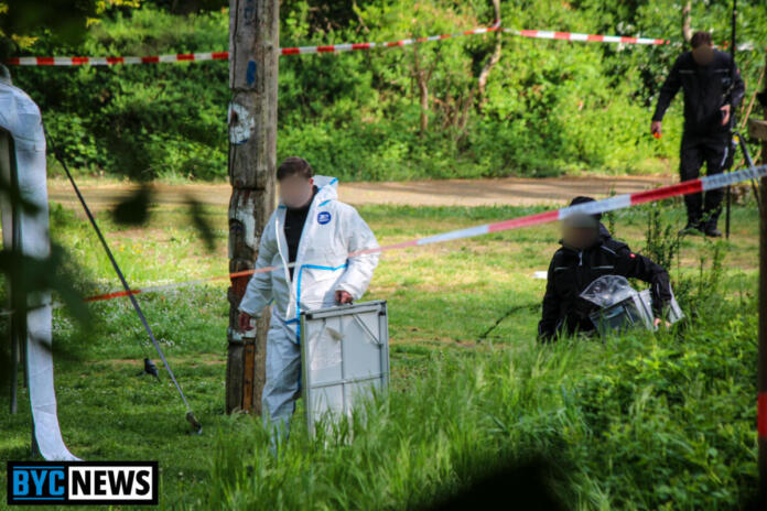 Tötungsdelikt in Mainz | Foto: BYC-News