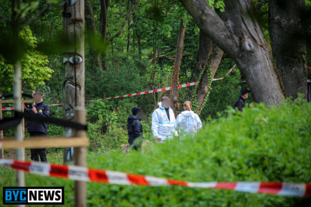 Tötungsdelikt in Mainz | Foto: BYC-News