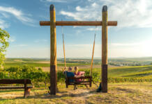 Kennst du schon die Obstroute durch Rheinhessen? Obstroute Die Wingertschaukel