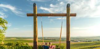 Obstroute Die Wingertschaukel