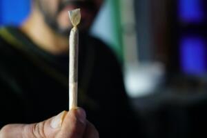 Polizei zieht kritische bilanz zum cannabisgesetz Polizei zieht kritische bilanz zum cannabisgesetz