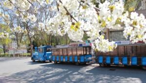 Mit der bimmelbahn durch bad kreuznach – stadterlebnis auf schienen