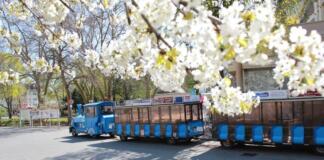 Mit der Bimmelbahn durch Bad Kreuznach – Stadterlebnis auf Schienen
