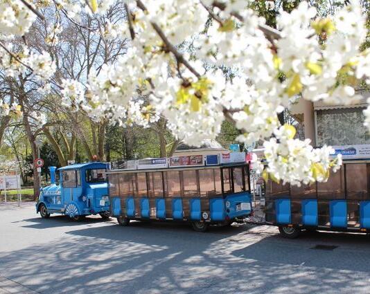Mit der Bimmelbahn durch Bad Kreuznach – Stadterlebnis auf Schienen