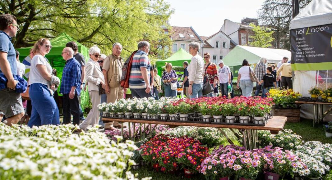 Worms blüht auf | © Fotograf: B. Bertram