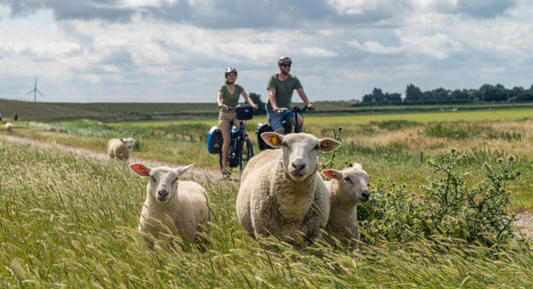 Zwischen Deich und Dollart – Mit Rad und Kanu durch das Südliche Ostfriesland