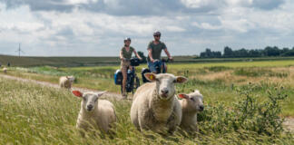 Zwischen Deich und Dollart – Mit Rad und Kanu durch das Südliche Ostfriesland