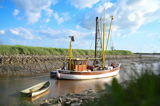 Zwischen Deich und Dollart – Mit Rad und Kanu durch das Südliche Ostfriesland