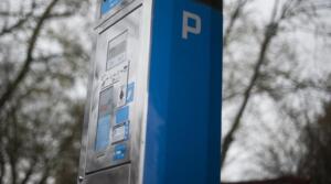 Jugendgruppe der tierhelfer-ingelheim startet wieder! 1