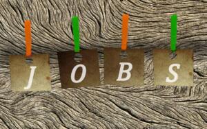 Jobs, stellenangebote