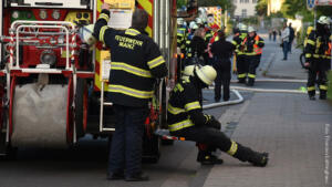 Mord im schlosspark biebrich - täter in untersuchungshaft