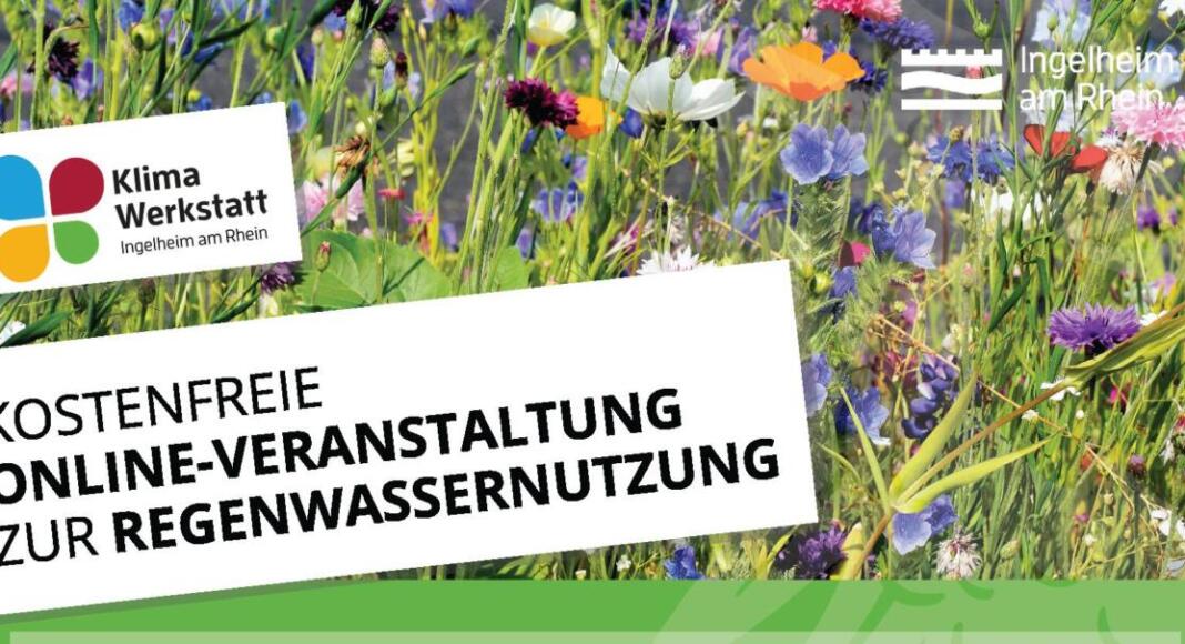 Kostenfreie Online-Veranstaltung in Ingelheim: Regenwasser richtig nutzen Kostenfreie Online-Veranstaltung in Ingelheim: Regenwasser richtig nutzen