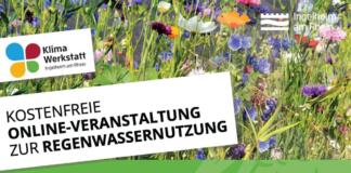 Kostenfreie Online-Veranstaltung in Ingelheim: Regenwasser richtig nutzen
