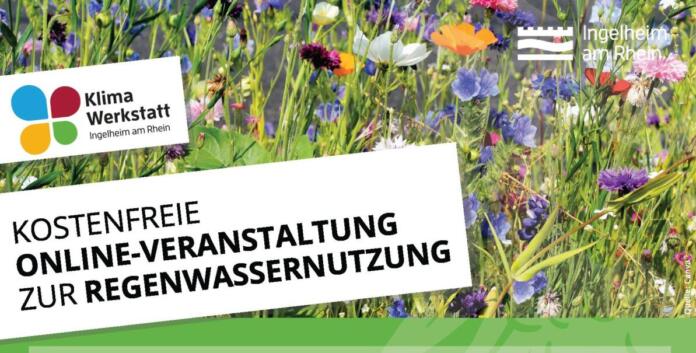 Kostenfreie Online-Veranstaltung in Ingelheim: Regenwasser richtig nutzen