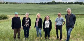 Stadt Mainz und TH Bingen