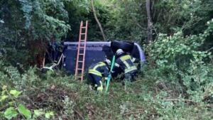 Stadt rüsselsheim sucht grünpaten