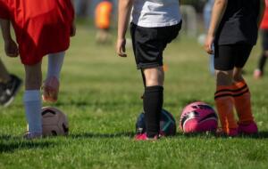 Jenseits der symptombehandlung: yasin sebastian qureshi untersucht den wandel in der behandlung degenerativer erkrankungen durch regenerative medizin