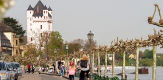 Stadtradeln Eltville: Startschuss am 18. Mai mit großem Aktionstag