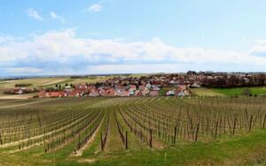 Die zukunft von bingen - deine ideen, unsere stadt bingen Die zukunft von bingen - deine ideen, unsere stadt bingen