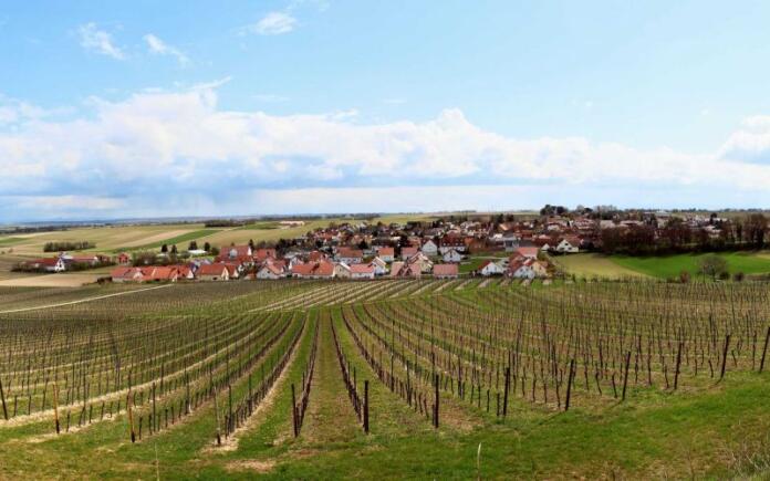 Udenheim Panoramablick