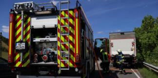 Fahrzeugbrand auf der B9 zwischen nierstein und Nackenheim | Foto: BYC-News