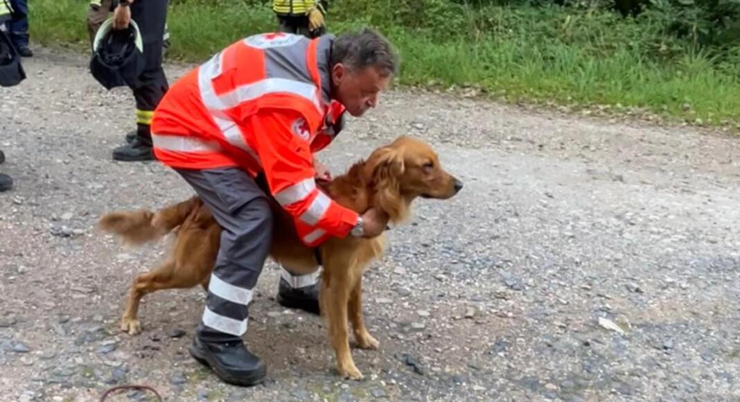 DRK Rettungshundestaffel
